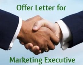 Marketing Executive Job Offer Letter