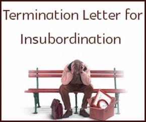 termination letter for insubordination