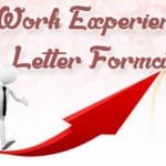 Work Experience Letter Format