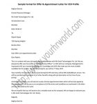 CEO Offer and Appointment letter sample format in word doc