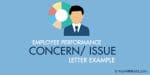 Employee Performance Concern Letter, Issue Letter Example